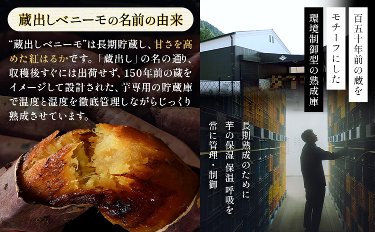 芋 熊本 県 大津 町産 なかせ 農園の蔵出しベニーモ 選べる 約 1.5kg (大中小サイズ不揃い)《1-5日以内に出荷予定(土日祝除く)》 さつま いも さつま芋 芋 紅 はるか スイート ポテト 干し芋にも 特産品 SDGs 中瀬農園---fn_nksimo_s_25_4000_1500g---