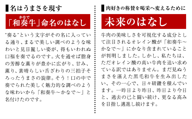 厳選くまもと黒毛和牛ハンバーグ 3個 (1個150g)《30日以内に出荷予定(土日祝除く)》熊本県 大津町 和牛焼肉LIEBE くまもと黒毛和牛 ハンバーグ 冷凍 リーベ---so_fliekrham_30d_r7_10000_3p---