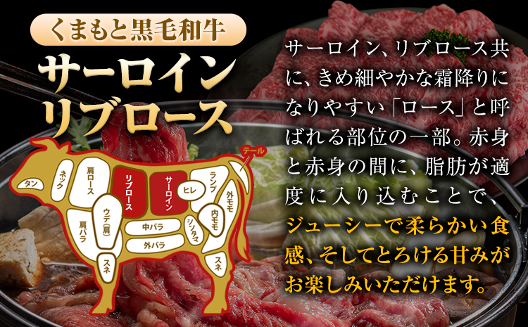 くまもと黒毛和牛 サーロイン リブロース ローススライス 600g 牛肉  《30日以内に出荷予定(土日祝除く)》---oz_fkkrgsrr_30d_r7_18000_600g---
