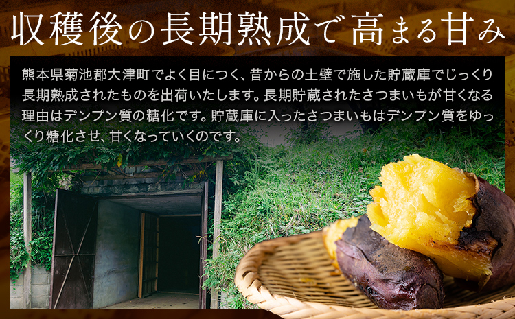 熊本県大津町産 中無田農園の紅はるか 約1.5kg (大中小サイズ不揃い) 熊本県大津町 《12月上旬-1月中旬頃出荷予定》 さつまいも 芋 スイートポテト 干し芋にも 名産地 特産品 秋 旬---fn_nkmtben_ae121_4000_1500g---
