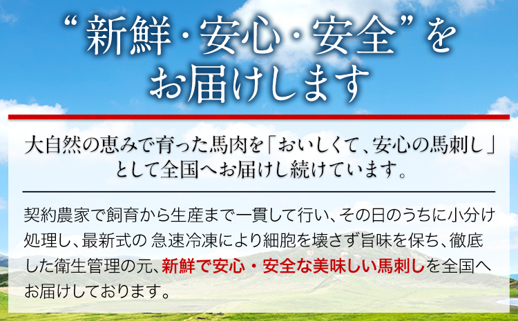 大トロ中トロ馬刺し盛り 600g 阿蘇牧場 《60日以内に出荷予定(土日祝除く)》馬刺し 熊本 大津町 大トロ 中トロ 食べ比べ 馬肉 霜降り---so_fskottyu_60d_r8_70000_600g---