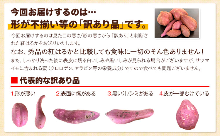 訳あり紅はるか サツマイモ 1.5kg 《2026年1月上旬-5月末頃出荷予定》紅はるか さつまいも 熊本県 大津町 イモ 芋 さつまいも 訳あり---oz_jsmih_26_af15_3500_1500g---