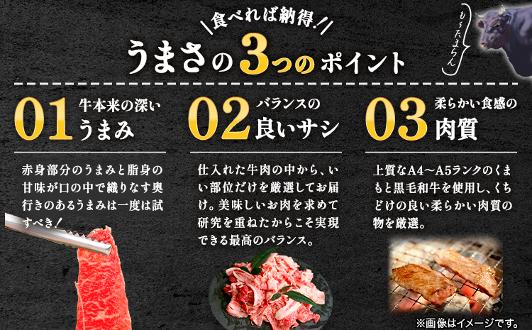牛肉 A4～A5等級 黒毛和牛 切り落とし くまもと黒毛和牛 切り落とし 500g 《30日以内に出荷予定(土日祝除く)》 牛肉 くまもと黒毛和牛 冷凍 Esprit---so_fespkiri_30d_r7_11000_500g---