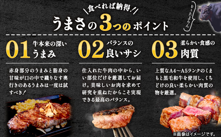 【A4～A5】くまもと黒毛和牛 サーロインステーキ  500g 《30日以内に出荷予定(土日祝除く)》 牛肉 くまもと黒毛和牛 黒毛和牛 冷凍庫 サーロイン ステーキ Esprit---so_fespsa_30d_r7_22500_500g---