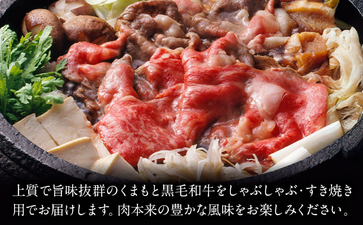 【A4～A5】くまもと 黒毛和牛 しゃぶしゃぶ すき焼き用（肩ロース肉・肩バラ肉・モモ肉）500g《30日以内に出荷予定(土日祝除く)》熊本県 大津町 黒毛和牛 肉 お肉 和牛 A5 A4 小分け---so_fmpkkss_30d_r7_12500_500g---