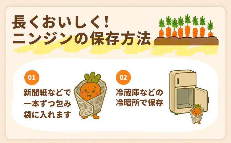 人参 訳あり にんじん ニンジン キャロット 5kg《12月中旬-3月上旬頃出荷》熊本県 大津町 人参 送料無料 にんじん キャロット 熊本県産 にんじん---oz_wknnjn_g123_25_5000_5kg---