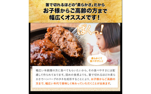 ステーキマニア監修 あか牛100%生ハンバーグ 140g×13個入り 合計1820g《2026年1月中旬-3月末頃出荷》---oz_faknham_bc13_r7_13000_1820g---