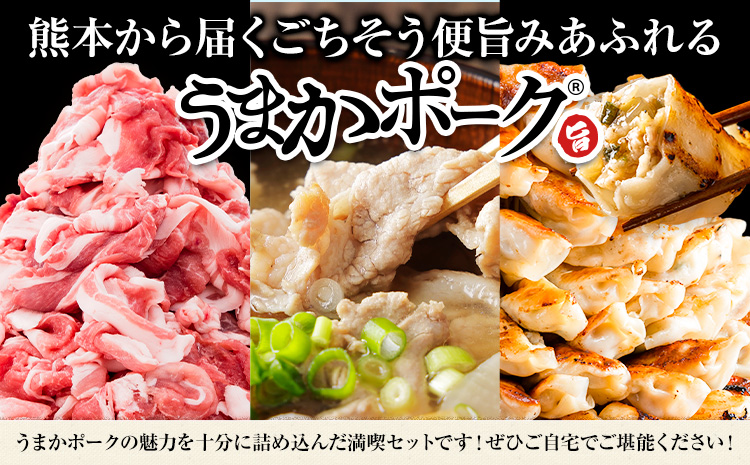 豚肉 うまかポーク 満喫セット 全3回 定期便 うまかポーク 切り落とし ミンチ バラエティセット 生餃子《お申込み月の翌月から発送開始》熊本県 大津町 豚肉 ミンチ 干し芋 ハンバーグ 肉 頒布会 全3回---oz_fumaptei_25_45500_mo3num1---