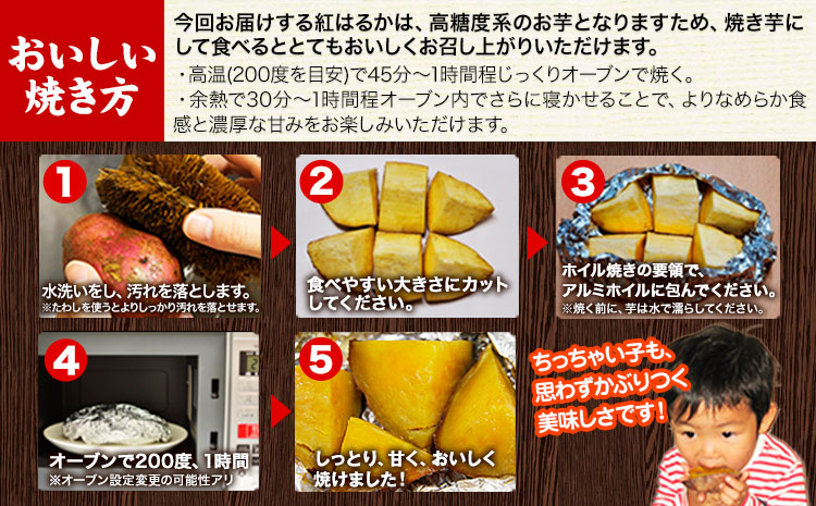 熊本県大津町産 中無田農園の紅はるか 約1.5kg (大中小サイズ不揃い) 熊本県大津町 《12月上旬-1月中旬頃出荷予定》 さつまいも 芋 スイートポテト 干し芋にも 名産地 特産品 秋 旬---fn_nkmtben_ae121_4000_1500g---