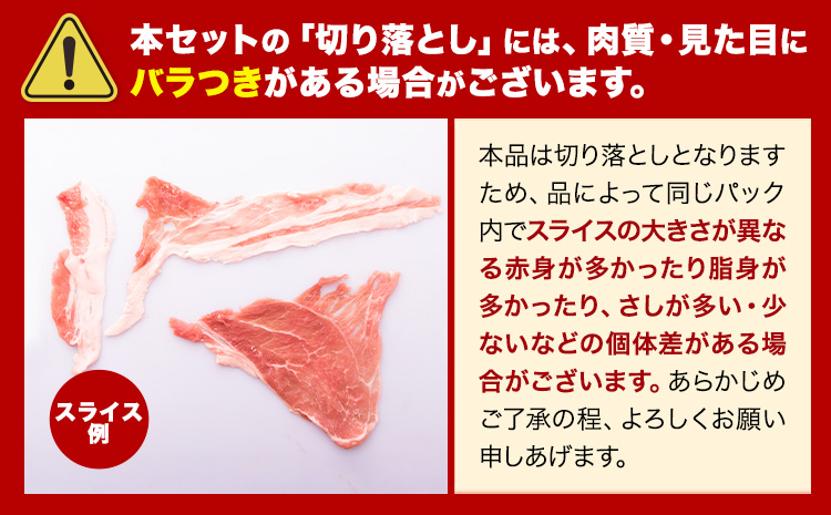 豚肉 うまか ポーク バラエティ セット 4.6kg 豚肉 しゃぶしゃぶ 切り落とし 豚ロース バラ 豚バラ スライス 以上 定期便 真空 不揃い 数量限定 簡易包装 冷凍配送 小分け 《1月出荷》 豚肉---oz_fbrets_ac1_26_17000_4600g--- - 2セット