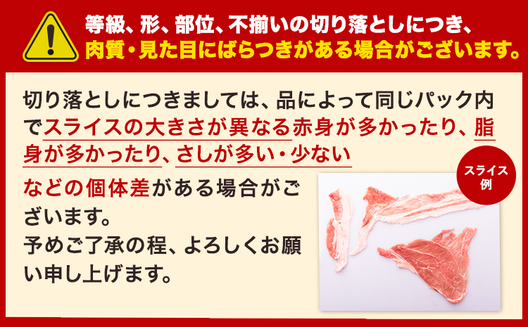 【12ヶ月定期便】豚肉 切り落とし ＆ ミンチ ハーフセット 1.8kg 豚 細切れ こま切れ 豚こま 豚小間切れ 豚しゃぶ 小分け 訳あり 訳有 ひき肉 うまかポーク 傷 規格外 ぶた肉 ぶた 真空パック 簡易包装 冷凍 《お申込み月の翌月から出荷開始》---oz_fuptei_r7_108000_s_1800g_mo12--- 1セット（1.8kg）