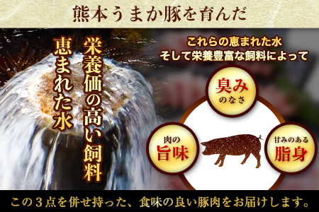 【6ヶ月定期便】豚肉 ミンチ 1.8kg 豚  小分け 訳あり 訳有 ひき肉 うまかポーク 傷 規格外 ぶた肉 ぶた 真空パック  簡易包装 冷凍 《お申込み月の翌月から出荷開始》---oz_fuptei_r7_54000_m_1800g_mo6--- 1セット（1.8kg）