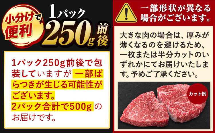 くまもと黒毛和牛 サーロインステーキ 500g ( 250g x 2枚 ) 牛肉 冷凍 《30日以内に出荷予定(土日祝除く)》 くまもと黒毛和牛 黒毛和牛 冷凍庫 個別 取分け 小分け 個包装 ステーキ肉 にも サーロインステーキ---oz_fsaro_30d_r7_16000_500g---