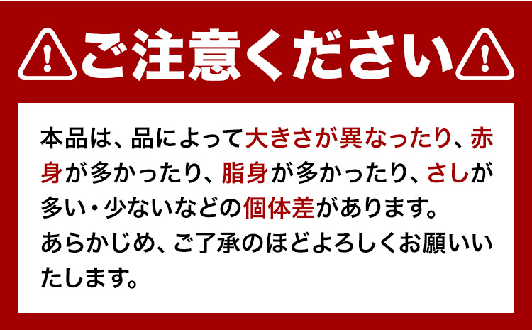 馬ひも 馬刺し用 320g (80g×4袋) 《90日以内に出荷予定(土日祝除く)》 熊本県 大津町 肉 馬ひも 馬肉 ---oz_fjbhm_90d_r7_23000_320g---