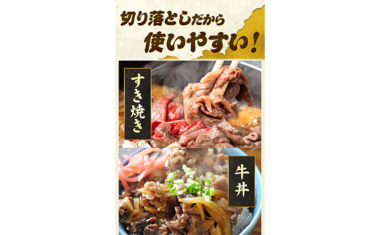 あか牛 切り落とし 1kg 五右衛門フーズ《60日以内に出荷予定(土日祝除く)》 熊本県 大津町 牛肉 肉 国産 熊本県産 ブランド牛 絶品 贅沢 高級 あか牛---so_fgoeakukr_60d_r7_18500_1kg---