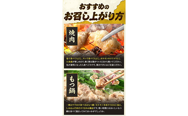 あか牛 白ホルモン 500g 五右衛門フーズ 《60日以内に出荷予定(土日祝除く)》 熊本県 大津町 牛肉 肉 国産 熊本県産 ブランド牛 絶品 贅沢 高級 あか牛 ホルモン もつ モツ もつ鍋---so_fgoeaksrhr_60d_r7_13000_500g---