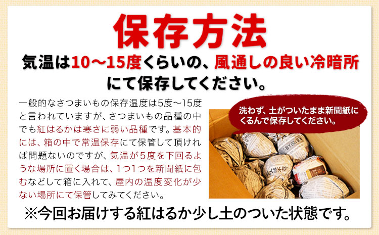 訳あり紅はるか サツマイモ 1.5kg 《2026年1月上旬-5月末頃出荷予定》紅はるか さつまいも 熊本県 大津町 イモ 芋 さつまいも 訳あり---oz_jsmih_26_af15_3500_1500g---