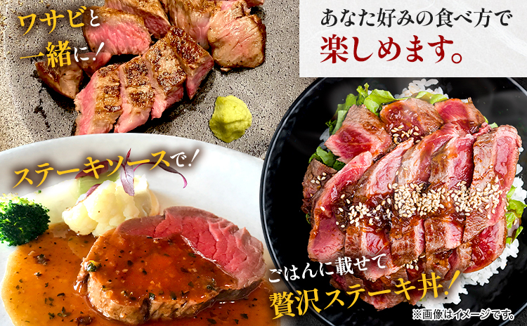 【A4～A5】くまもと黒毛和牛 ヒレステーキ 450g (150g×3枚) 《30日以内に出荷予定(土日祝除く)》 牛肉 くまもと黒毛和牛 黒毛和牛 冷凍庫 Esprit---so_fesphrs_30d_r7_43500_450g---