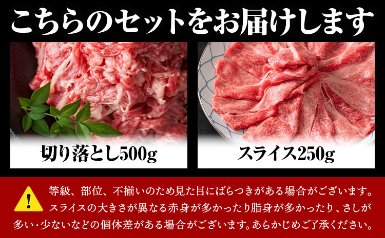 訳あり 【A4～A5】くまもと 黒毛和牛 しゃぶしゃぶ すき焼き 750g セット《30日以内に出荷予定(土日祝除く)》熊本県 大津町 黒毛和牛 肉 お肉 和牛 A5 A4 小分け MEAT PLUS---so_fmpkkssy_30d_r7_12500_750g---