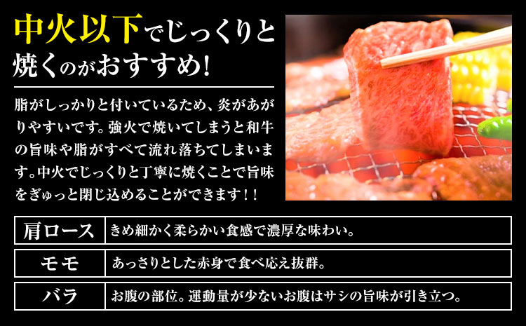 【A4～A5】くまもと 黒毛和牛 焼肉用 500g 《30日以内に出荷予定(土日祝除く)》熊本県 大津町 黒毛和牛 肉 お肉 和牛 牛 牛肉 A5 A4 小分け---so_fmpkkyn_30d_r7_13000_500g---