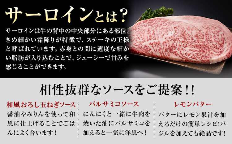 【A4～A5】くまもと 黒毛和牛 サーロイン ステーキ 500g 《30日以内に出荷予定(土日祝除く)》熊本県 大津町 黒毛和牛 肉 お肉 和牛 牛 牛肉 A5 A4 小分け MEAT PLUS---so_fmpkkss_30d_r7_17000_500g---