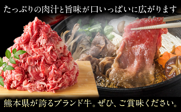 【A4～A5】くまもと 黒毛和牛 切り落とし 1kg 《30日以内に出荷予定(土日祝除く)》熊本県 大津町 黒毛和牛 肉 お肉 和牛 牛 牛肉 A5 A4 小分け MEAT PLUS---so_fmpkkko_30d_r7_12500_1kg---