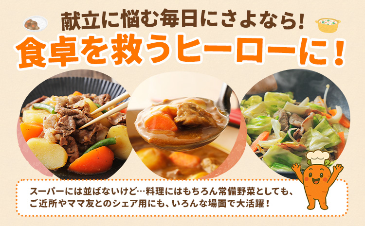 人参 訳あり にんじん ニンジン キャロット 5kg《12月中旬-3月上旬頃出荷》熊本県 大津町 人参 送料無料 にんじん キャロット 熊本県産 にんじん---oz_wknnjn_g123_25_5000_5kg---