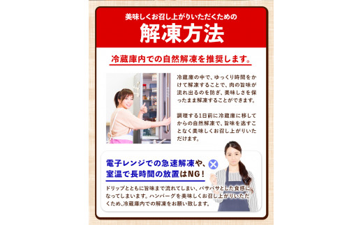 ステーキマニア監修 あか牛100%生ハンバーグ 140g×13個入り 合計1820g《2026年1月中旬-3月末頃出荷》---oz_faknham_bc13_r7_13000_1820g---