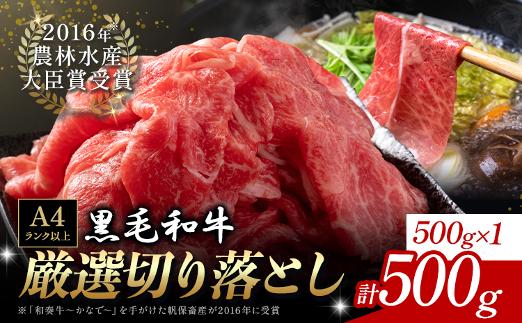 厳選 くまもと黒毛和牛 切り落とし 500g《30日以内に出荷予定(土日祝除く)》熊本県 大津町 和牛焼肉LIEBE くまもと黒毛和牛 切り落とし 冷凍 リーベ---so_fliekiri_30d_r8_11000_500g---