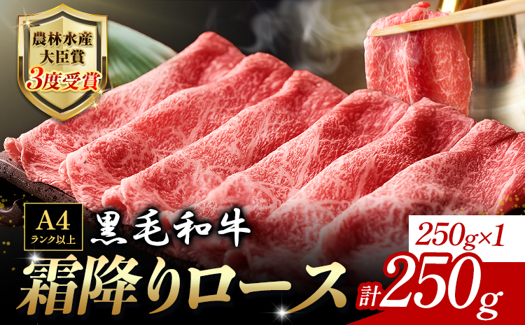 厳選 くまもと黒毛和牛 すき焼き用 霜降りロース 250g《30日以内に出荷予定(土日祝除く)》 熊本県 大津町 和牛焼肉LIEBE くまもと黒毛和牛 リブロース 肩ロース すき焼き 冷蔵 リーベ---so_cliebesus_30d_r8_15000_250g---