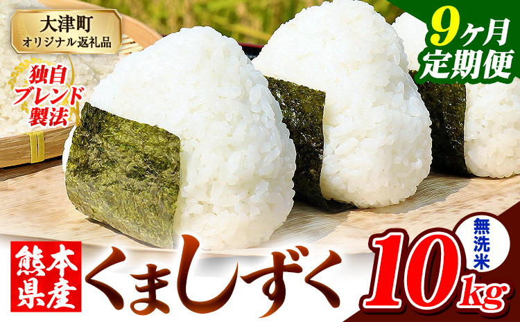 【9ヶ月定期便】熊本県産 ブレンド米 くましずく 無洗米 10kg《お申込み翌月から出荷》こめ ふるさとのうぜい コメ お米 おこめ---oz_ksztei_202500_10kg_m_mo9---