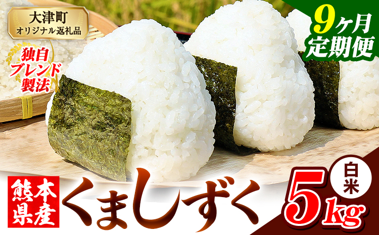 【9ヶ月定期便】熊本県産 ブレンド米 くましずく 白米 5kg《お申込み翌月から出荷》こめ ふるさとのうぜい コメ お米 おこめ---oz_ksztei_103500_5kg_h_mo9---