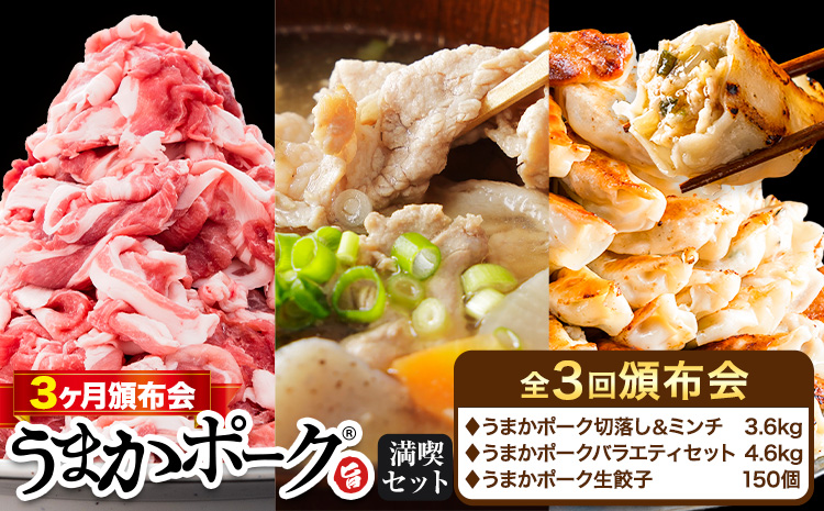 豚肉 うまかポーク 満喫セット 全3回 定期便 うまかポーク 切り落とし ミンチ バラエティセット 生餃子《お申込み月の翌月から発送開始》熊本県 大津町 豚肉 ミンチ 干し芋 ハンバーグ 肉 頒布会 全3回---oz_fumaptei_25_45500_mo3num1---