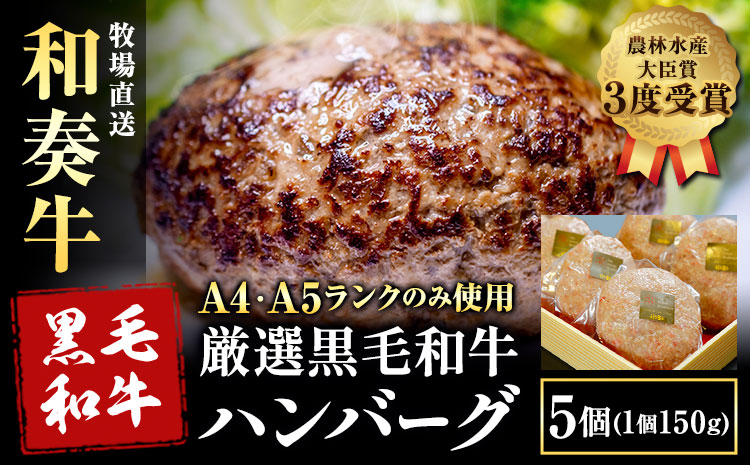 厳選くまもと黒毛和牛ハンバーグ 5個 (1個150g)《30日以内に出荷予定(土日祝除く)》熊本県 大津町 和牛焼肉LIEBE くまもと黒毛和牛 ハンバーグ 冷凍 リーベ---so_fliekrham_30d_r7_15000_5p---