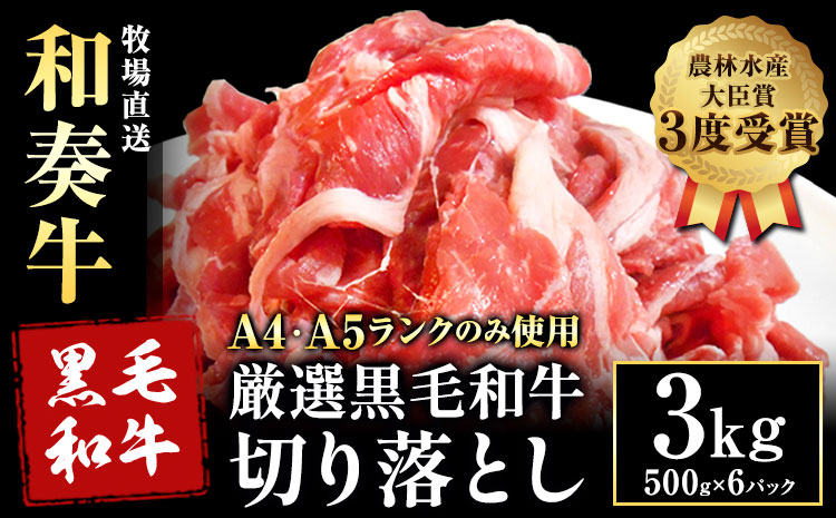 厳選 くまもと黒毛和牛 切り落とし 3kg ( 1パック 500g ) 《30日以内に出荷予定(土日祝除く)》熊本県 大津町 和牛焼肉LIEBE くまもと黒毛和牛 切り落とし 冷凍 リーベ---so_fliekiri_30d_25_30000_3000g---