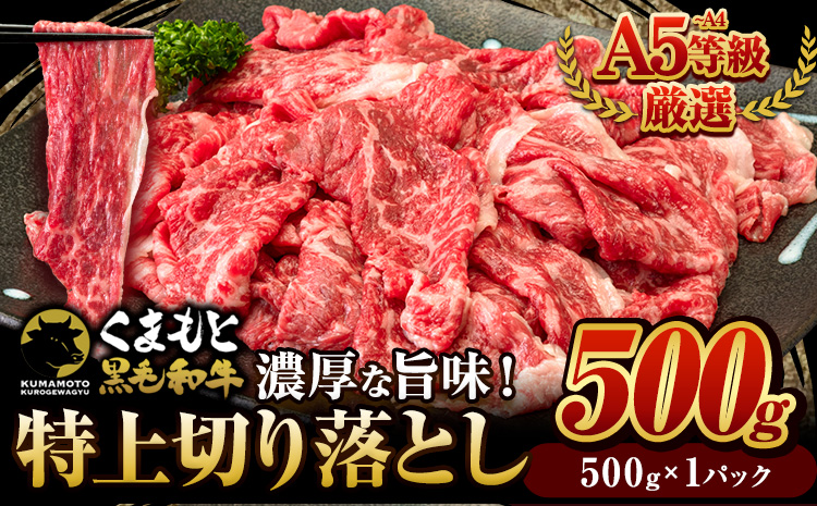 くまもと黒毛和牛 ウデ・モモ 特上 切り落とし 選べる 500g 牛肉 冷凍 《30日以内に出荷予定(土日祝除く)》冷凍庫 個別 取分け 小分け 個包装 モモ スライス 肉 お肉 しゃぶしゃぶ すき焼き A5 A4---oz_fkkgmur_30d_r7_10000_500g---