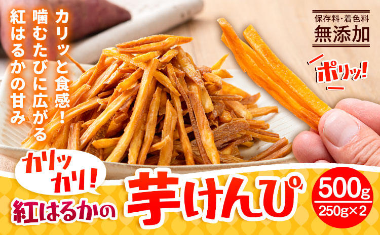 カリッカリ 紅はるかの芋けんぴ 500g (250g×2) 大津町産 無添加《30日以内に出荷予定(土日祝除く)》---oz_imkp_30d_r7_5000_500g---