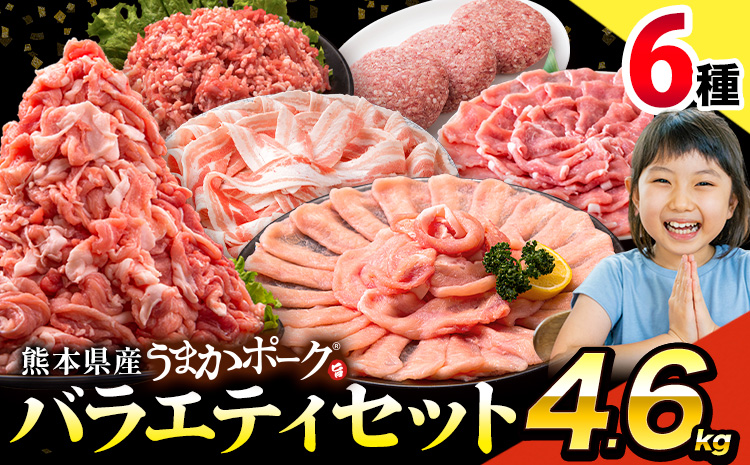 豚肉 うまか ポーク バラエティ セット 4.6kg 豚肉 しゃぶしゃぶ 切り落とし 豚ロース バラ 豚バラ スライス 以上 定期便 真空 不揃い 数量限定 簡易包装 冷凍配送 小分け 《1月出荷》 豚肉---oz_fbrets_ac1_26_17000_4600g--- - 2セット