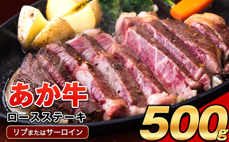 あか牛（褐毛和種）ロースステーキ (リブまたはサーロイン) 250g×2 500g 熊本県産 肉 和牛 牛肉 赤牛 あかうし リブロース サーロイン 冷凍 《30日以内に出荷予定(土日祝除く)》 送料無料---oz_fakstk_30d_r8_15000_500g---
