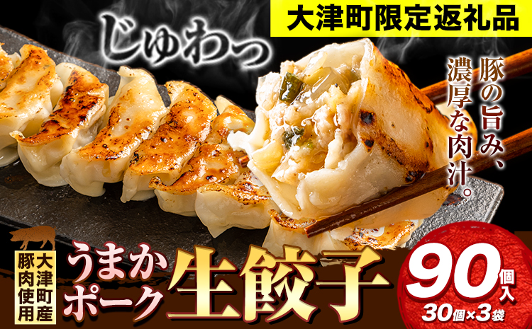 餃子 うまかポーク生餃子 90個 タレ付き 大津町限定返礼品 冷凍餃子 ギョウザ《30日以内に出荷予定(土日祝除く)》大津町産豚肉使用 九州産キャベツ使用（大津町産含む）皮モチモチ 肉汁溢れる ぎょうざ （30個×3袋）---oz_fumkgz_30d_25_10000_90p---
