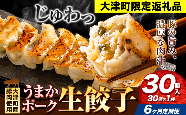 餃子 うまかポーク生餃子 30個 【6ヶ月定期便】タレ付き 大津町限定返礼品 冷凍餃子 ギョウザ《お申込み月の翌月から発送開始》大津町産豚肉使用 九州産キャベツ使用（大津町産含む）皮モチモチ 肉汁溢れる ぎょうざ （30個×1袋）---oz_fgztei_25_26000_30p_mo6---