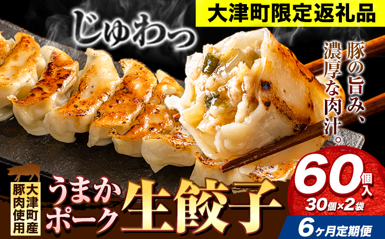 餃子 うまかポーク生餃子 60個 【6ヶ月定期便】タレ付き 大津町限定返礼品 冷凍餃子 ギョウザ《お申込み月の翌月から発送開始》大津町産豚肉使用 九州産キャベツ使用（大津町産含む）皮モチモチ 肉汁溢れる ぎょうざ （30個×2袋）---oz_fgztei_25_41000_60p_mo6---