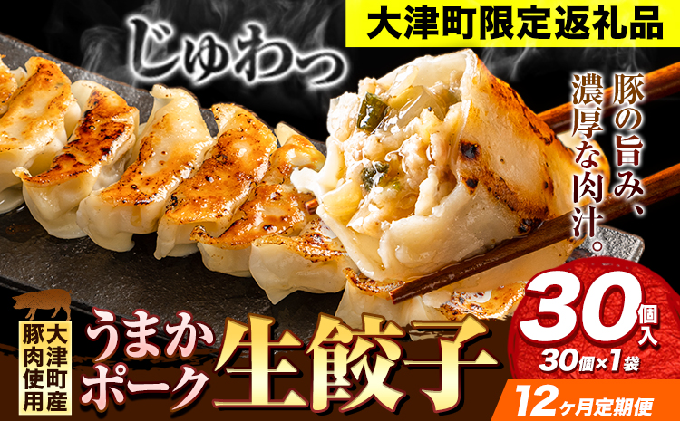 餃子 うまかポーク生餃子 30個 【12ヶ月定期便】タレ付き 大津町限定返礼品 冷凍餃子 ギョウザ《お申込み月の翌月から発送開始》大津町産豚肉使用 九州産キャベツ使用（大津町産含む）皮モチモチ 肉汁溢れる ぎょうざ （30個×1袋）---oz_fgztei_25_51000_30p_mo12---