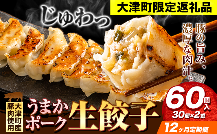 餃子 うまかポーク生餃子 60個 【12ヶ月定期便】タレ付き 大津町限定返礼品 冷凍餃子 ギョウザ《お申込み月の翌月から発送開始》大津町産豚肉使用 九州産キャベツ使用（大津町産含む）皮モチモチ 肉汁溢れる ぎょうざ （30個×2袋）---oz_fgztei_25_81000_60p_mo12---