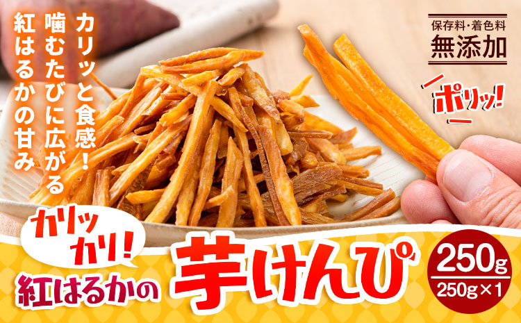 カリッカリ 紅はるかの芋けんぴ 250g 1袋250g 熊本県大津町産 無添加《30日以内に出荷予定(土日祝を除く)》薩摩芋 さつまいも サツマイモ イモケンピ 保存料・着色料 不使用 小分け---oz_imkp_30d_r7_3500_250g---