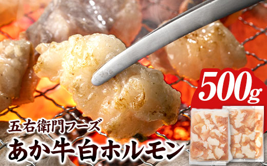 あか牛 白ホルモン 500g 五右衛門フーズ 《60日以内に出荷予定(土日祝除く)》 熊本県 大津町 牛肉 肉 国産 熊本県産 ブランド牛 絶品 贅沢 高級 あか牛 ホルモン もつ モツ もつ鍋---so_fgoeaksrhr_60d_r7_13000_500g---