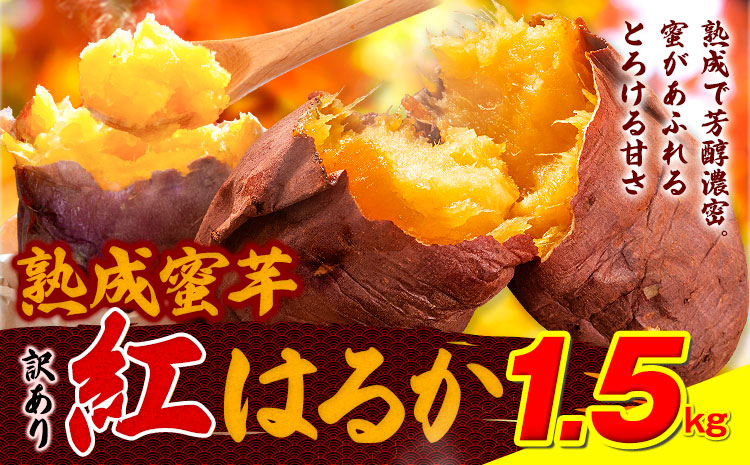 訳あり紅はるか サツマイモ 1.5kg 《2026年1月上旬-5月末頃出荷予定》紅はるか さつまいも 熊本県 大津町 イモ 芋 さつまいも 訳あり---oz_jsmih_26_af15_3500_1500g---
