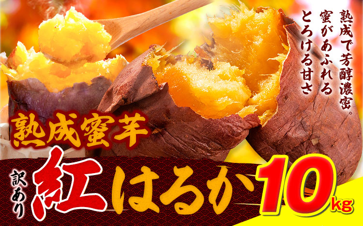 訳あり紅はるか サツマイモ 10kg 《2026年1月上旬-5月末頃出荷予定》紅はるか さつまいも 熊本県 大津町 イモ 芋 さつまいも 訳あり---oz_jsmih_26_af15_9000_10kg---