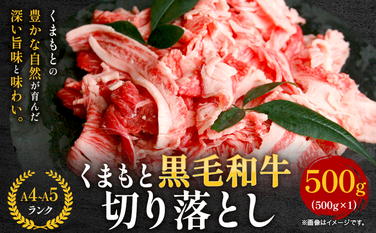 牛肉 A4～A5等級 黒毛和牛 切り落とし くまもと黒毛和牛 切り落とし 500g 《30日以内に出荷予定(土日祝除く)》 牛肉 くまもと黒毛和牛 冷凍 Esprit---so_fespkiri_30d_r7_11000_500g---