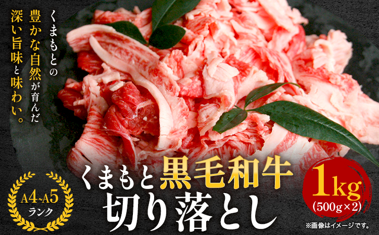 牛肉 A4～A5等級 黒毛和牛 切り落とし くまもと黒毛和牛 切り落とし 1kg 《30日以内に出荷予定(土日祝除く)》 牛肉 くまもと黒毛和牛 冷凍 Esprit---so_fespkiri_30d_r7_15500_1kg---